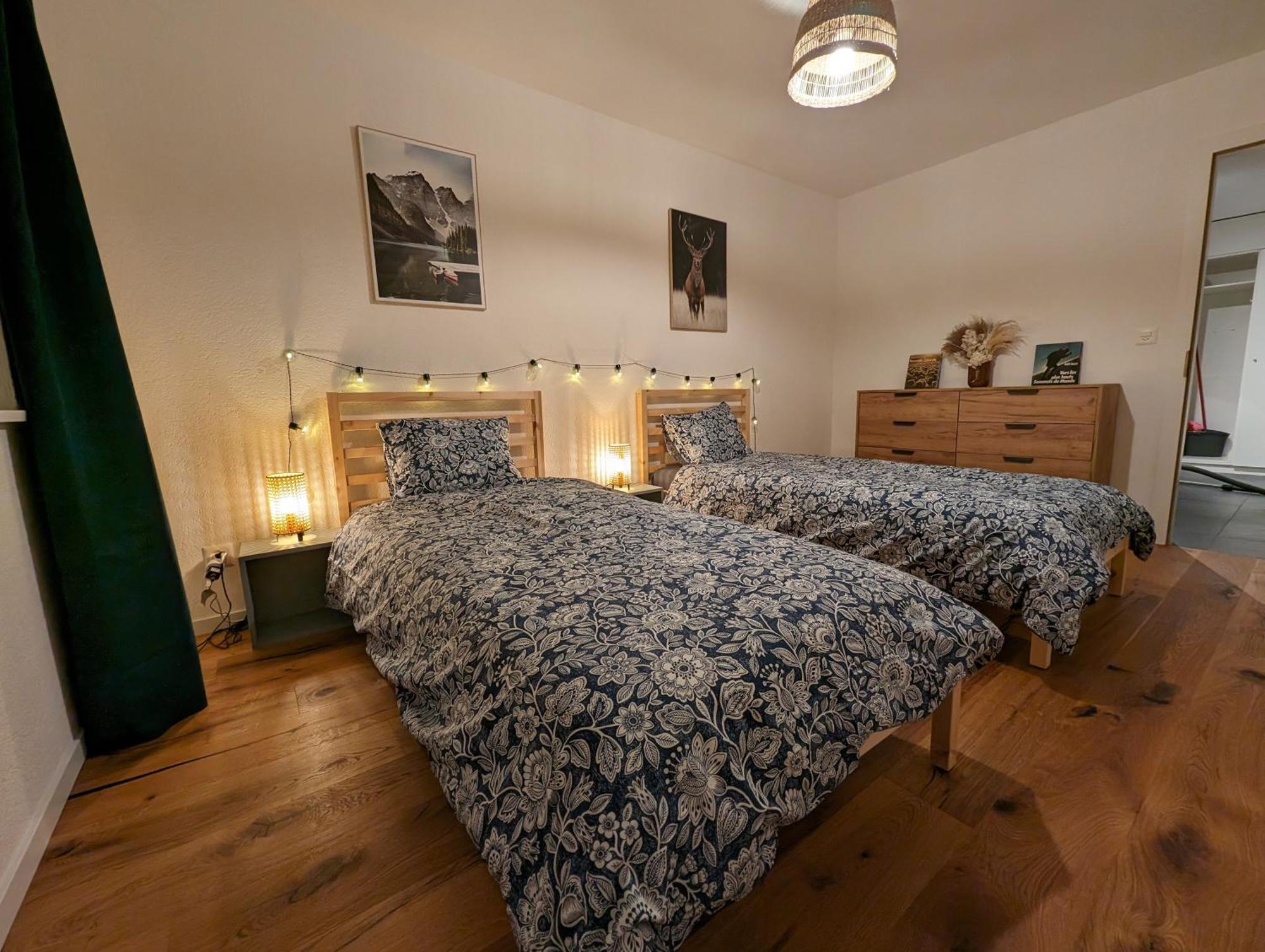 Appartement Spacieux Au Centre De La Gruyere Брок Экстерьер фото
